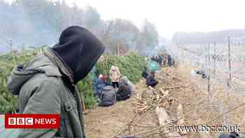 Poland-Belarus crisis: The lives caught in a stalemate