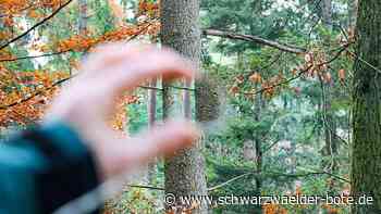 Wildberger Stadtwald: Exoten bringen Förster zum Lächeln