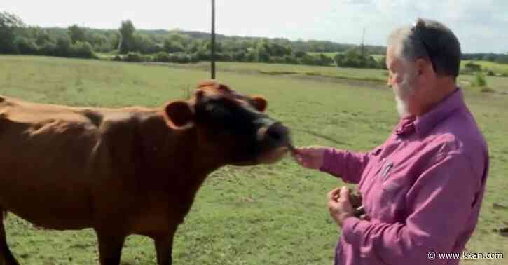 'Can't hardly afford to stay in it.' Ranchers pushed out as tech companies boost need for homes