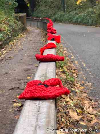 Remembrance and Armistice Day Celebrations