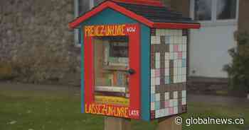 Missing Montreal community book box replaced when Alberta woman builds new one