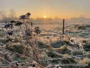 Het gaat goed met de Vallei van de Zwarte Beek - Internetgazet
