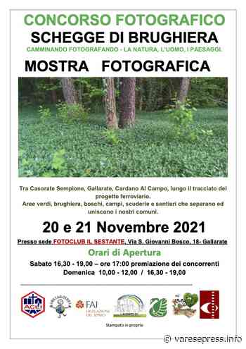 "Schegge di brughiera" in mostra a Gallarate - Varese Press - giornale online