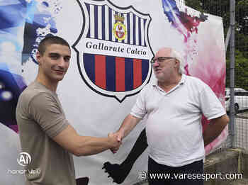 Gallarate, Petruzzellis: “Finalmente a casa. Pronti alla battaglia col Meda e con tutti” - VareseSport