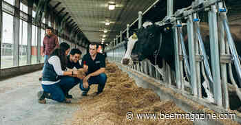 New tech will measure cow methane emissions