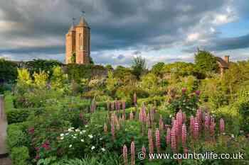 In Focus: How an amateur gardener created Sissinghurst, one of the most influential gardens ever made - Country Life