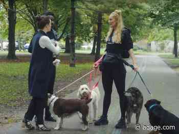 Watch the video that pokes fun at the ad industry's obsession with awards