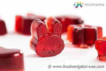 Michroma takes fungal food colors platform to pilot scale to produce pH-stable, heat-stable natural red - FoodNavigator-USA.com