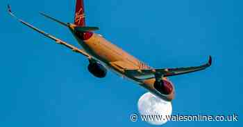 Virgin Atlantic releases stunning new in-flight menu - Wales Online