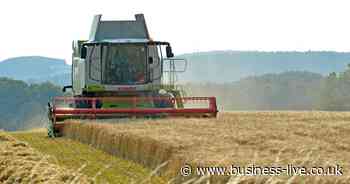 Why Wales urgently needs a food security plan - Business Live