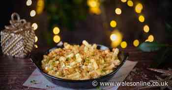 Frankie & Benny's new Christmas menu celebrates comfort food and seasonal flavours - Wales Online
