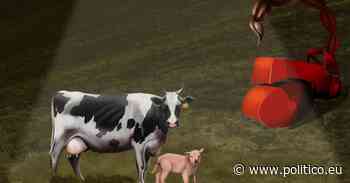 UK Red Tractor food label scheme accused of smear campaign in trade fight - POLITICO.eu