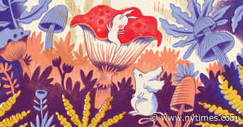 New Picture Books Pose Two of Life’s Biggest Questions