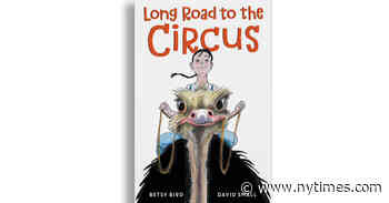 Ostriches Don’t Actually Bury Their Heads in the Sand