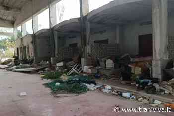 Movimento articolo 97: «Determinati ma non offensivi con Amiu» - TraniViva