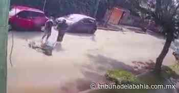 Sujetos disparan a mujer en la cabeza en Cuernavaca - Noticias en Puerto Vallarta - Tribuna de la Bahía