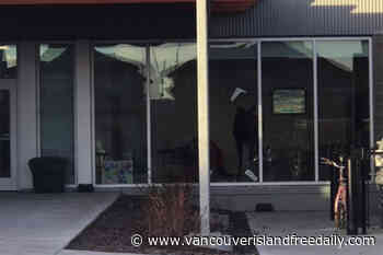 Moose on the loose: Saskatoon school gets surprise morning visitor - vancouverislandfreedaily.com