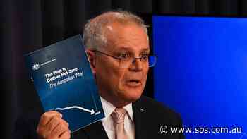 Net zero modelling to be released in the next fortnight, Scott Morrison says - SBS News