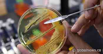 Public health officials investigating cause of salmonella outbreak in Western Canada