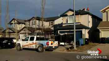 Warm weather helps Calgary construction industry | Watch News Videos Online - Globalnews.ca