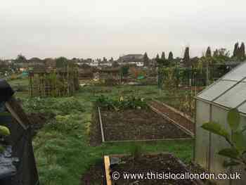 Why you should consider getting an allotment - Sia Kalia, Bancroft's School - This is Local London