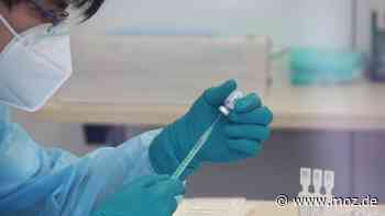 Corona im Havelland: Inzidenz zwischen Rathenow und Falkensee steigt auf über 250 - binnen einer Woche 424 Neuinfektionen - moz.de