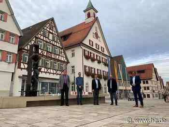 Leser-Voting: Jetzt abstimmen: Welcher Spielplatz in Giengen soll ein neues Trampolin bekommen? - Heidenheimer Zeitung