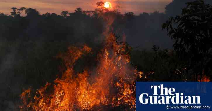 Transform approach to Amazon or it will not survive, warns major report