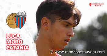 Monza, Genoa e Sassuolo sulle tracce di Luca Moro - Mondoprimavera