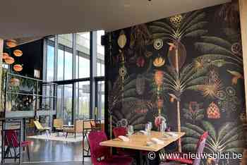 RECENSIE. Ode aan de verbeelding bij Broox: “Nog lekkerder met een klein woordje uitleg bij”