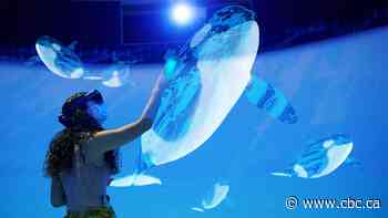 Smithsonian exhibit explores threats facing endangered B.C. whales