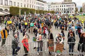 Klimaatmars trekt door Brussel: 500 à 1.000 betogers stappen... - Het Nieuwsblad