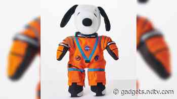 Snoopy Will Be Flying to the Moon Aboard NASA's Artemis I Mission: Find Out Why