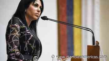 "Sin elecciones libres, Guaidó sigue siendo el presidente" - Diario Las Americas