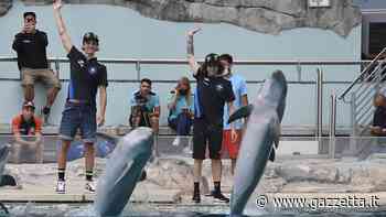 MotoGP, VR46: nel 2022 i piloti saranno Marini e Bezzecchi, conferma Nieto - La Gazzetta dello Sport