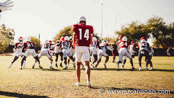 Cardinals add long snapper Beau Brinkley to practie squad after Kyle Nelson hurt in practice - AZCardinals.com