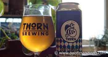What I'm drinking this week: Got Nelson? from Thorn Brewing - pacificsandiego.com