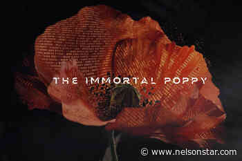 ‘The Immortal Poppy’: Canadian Legion sells NFTs for 100th anniversary - Nelson Star