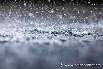 Nelson Remembrance Day crowd larger than expected – Nelson Star - Nelson Star