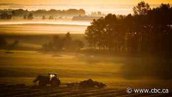 Farmers say they're ready to cut the carbon in Canada's diet — but they need government help