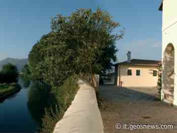 Da Latina a Minturno “Più notti, più sogni” - GeosNews