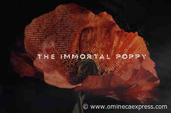 ‘The Immortal Poppy’: Canadian Legion sells NFTs for 100th anniversary - Vanderhoof Omineca Express