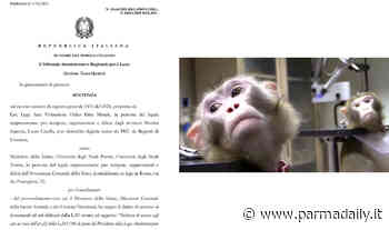 Lega anti vivisezione, nuova vittoria per il caso macachi di Parma: "Il TAR riconosce il diritto di sapere le condizioni degli animali” - - ParmaDaily.it