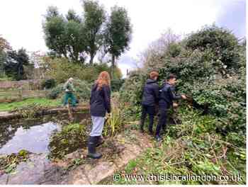 ‘Farringtons Goes Green’- Sofia Wilson, Farringtons school
