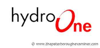 Hydro One clearing trees along Peterborough trail to prevent outages - ThePeterboroughExaminer.com