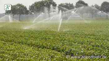 SPD und Grüne: Beratung für klimaschonende Wassernutzung - Hamburger Abendblatt