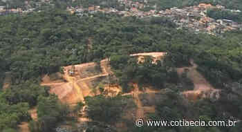 Frota disse que levará denúncia de crime ambiental em Cotia para a Câmara dos Deputados - Cotia e Cia