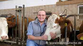 Eine Ammenkuh zum Aufwachsen - Süddeutsche Zeitung