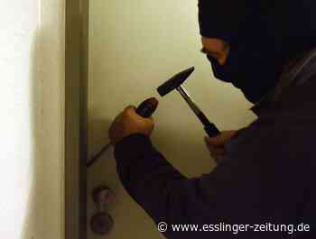 Einbruch in Ostfildern - Einbrecher stiehlt aus Kellerräumen - esslinger-zeitung.de