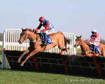 Cheltenham and Punchestown tips: Angus McNae's best bets - Racing TV